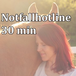 Pferdesorgen Hotline 30min